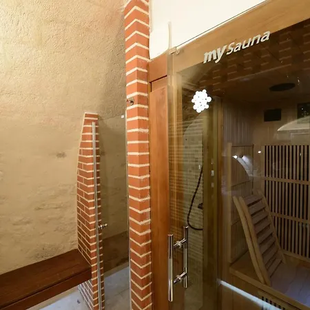 Apartment Loft Basfour-paris Centre Equipe Avec Sauna!-paris 4e Paris